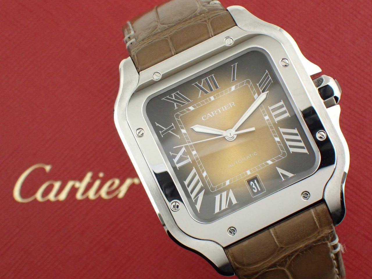 cartier-WSSA0004-review