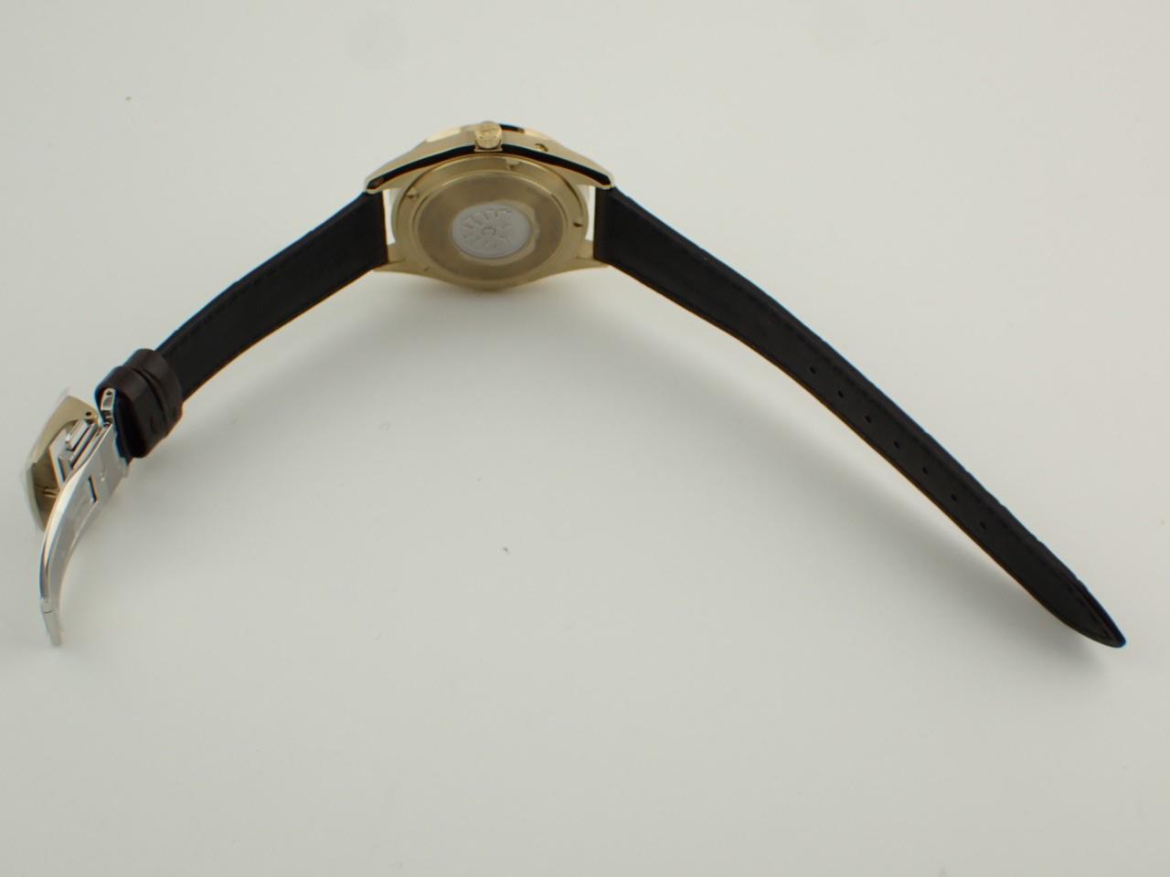 シチズン AQ4103-16W バックル