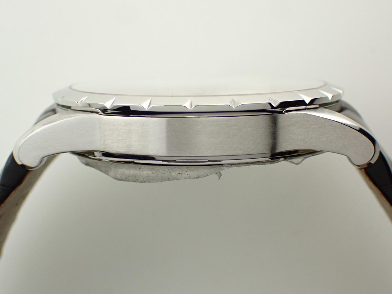 ロジェデュブイ RDDBEX0354 ケースサイド