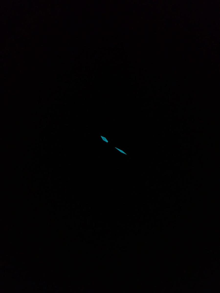 カンパノラ エコドライブ BU0024-02E 夜光他