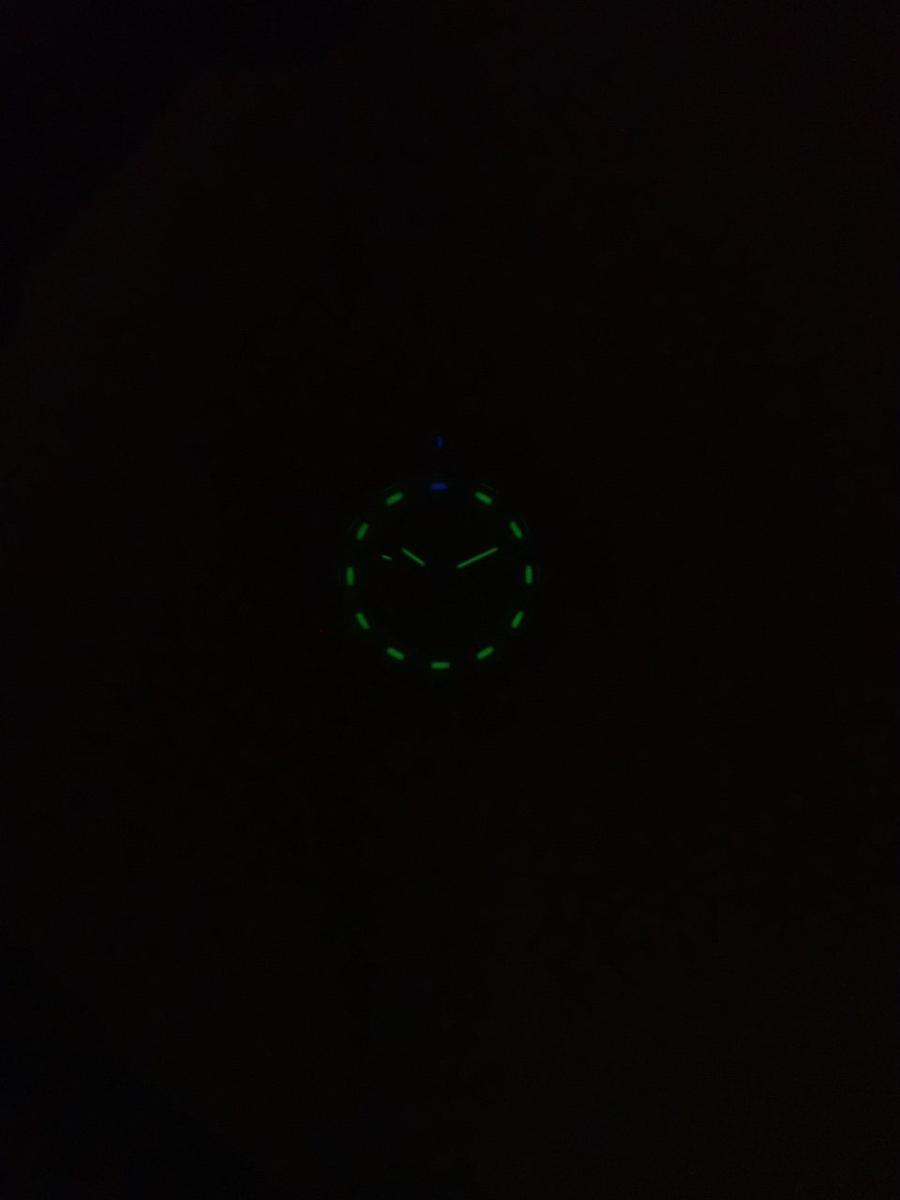 ルミノックス リミテッド 3007Whiteout 夜光他