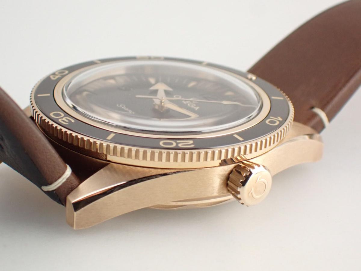 オメガ シーマスター 234.92.41.21.10.001 ベゼル