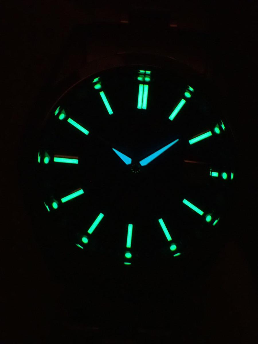 シチズン ザ・シチズン AQ4091-56L 夜光他