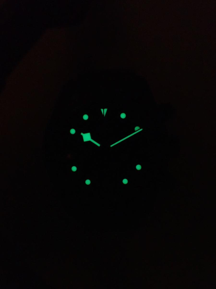 チューダー ブラックベイ 79360DK 夜光他