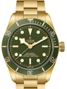 チューダー Ref.M79018V-0006